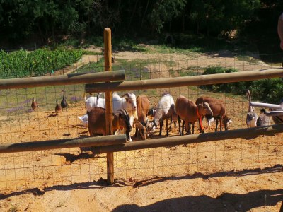 Holiday house Schönes Ferienhaus mit Swimmingpool - Outdoor photo 58