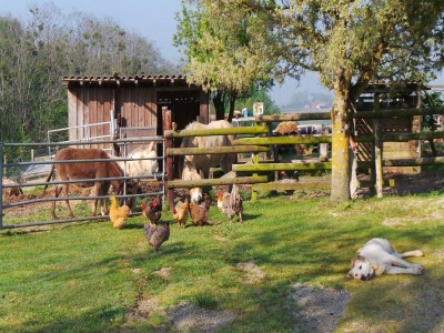 Holiday house Schönes Ferienhaus mit Swimmingpool - Outdoor photo 66