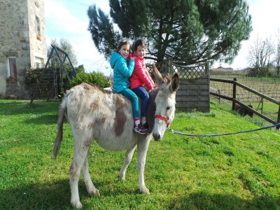 Holiday house Schönes Ferienhaus mit Swimmingpool - Outdoor photo 69