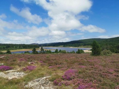 Holiday house Hillside Haven in Courniou - Environment photo 34