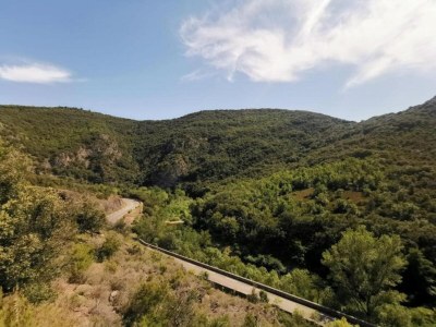 Holiday house Hillside Haven in Courniou - Environment photo 35