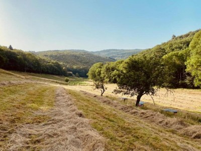 Holiday house Hillside Haven in Courniou - Environment photo 38