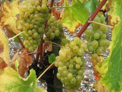 Villa Charming villa with private pool - Environment photo 32