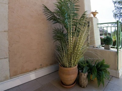 Holiday house Old wine storehouse with terrace and garden - Outdoor photo 42