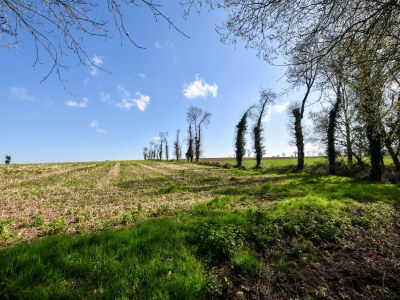 Holiday house Peaceful Garden Retreat, Epiniac - Environment photo 31