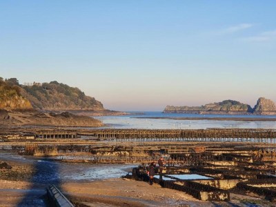 Holiday house Peaceful Garden Retreat, Epiniac - Environment photo 34