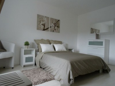 Holiday house Retreat in Beaumont-en-Véron - Features photo 36