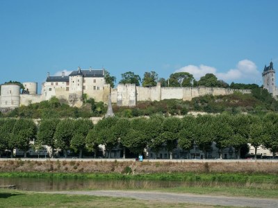 Holiday house Retreat in Beaumont-en-Véron - Environment photo 38