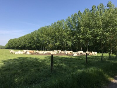 Holiday house Riverside Hideaway in Cinais - Environment photo 35