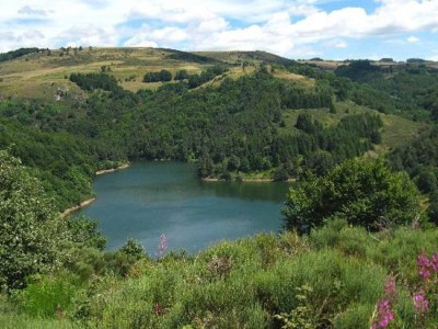 Holiday house Rustic Retreat in Goutte-Claire - Environment photo 14