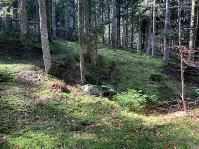 Holiday house Rustic Retreat in Goutte-Claire - Environment photo 18