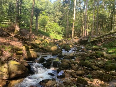 Holiday house Rustic Retreat in Goutte-Claire - Environment photo 19