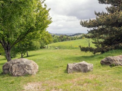 Holiday house Rustic Retreat in Goutte-Claire - Environment photo 20