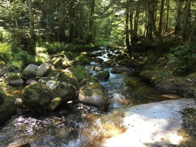 Holiday house Rustic Retreat in Goutte-Claire - Environment photo 21