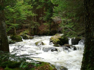 Holiday house Rustic Retreat in Goutte-Claire - Environment photo 22