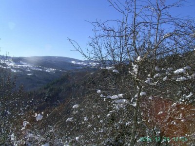 Holiday house Rustic Retreat in Goutte-Claire - Environment photo 26