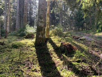 Holiday house Rustic Retreat in Goutte-Claire - Environment photo 28