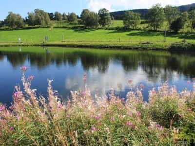 Holiday house Rustic Retreat in Goutte-Claire - Environment photo 29