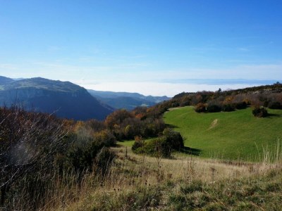 Holiday house Rustic Retreat in Goutte-Claire - Environment photo 30