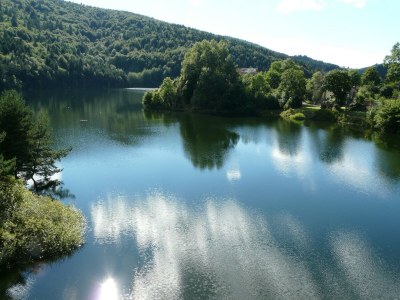 Holiday house Rustic Retreat in Goutte-Claire - Environment photo 33