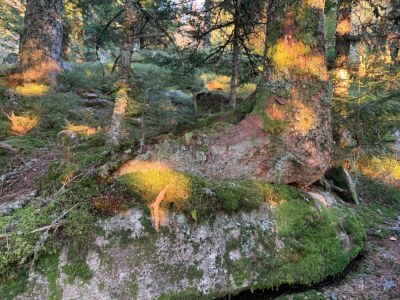 Holiday house Rustic Retreat in Goutte-Claire - Environment photo 36