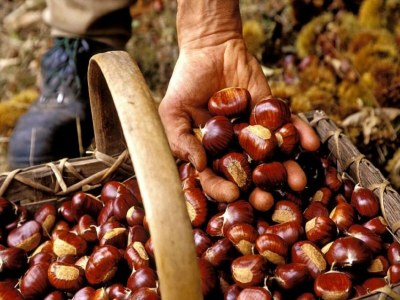 Holiday house Rustic Retreat in Goutte-Claire - Outdoor photo 40