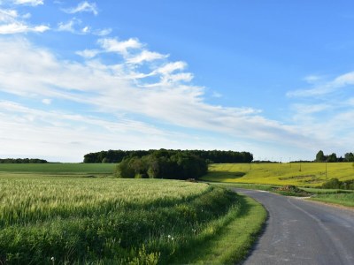 Holiday house Weekend Escape in Saint-Maurice - Environment photo 24