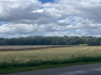 Holiday house Weekend Escape in Saint-Maurice - Environment photo 34