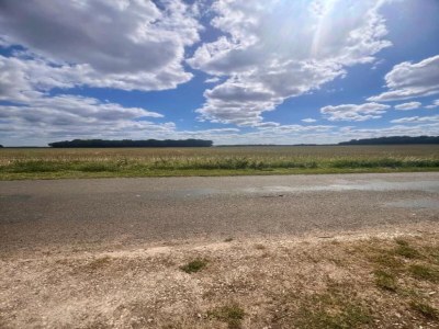 Holiday house Weekend Escape in Saint-Maurice - Environment photo 36