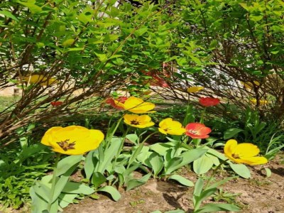 Holiday house Charmante Flucht, Yèvre-la-Ville - Environment photo 28