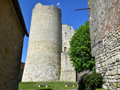 Holiday house Charmante Flucht, Yèvre-la-Ville - Environment photo 29