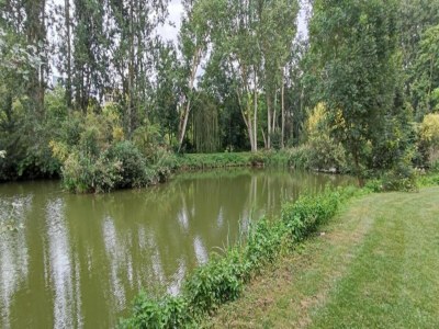 Holiday house Charmante Flucht, Yèvre-la-Ville - Environment photo 36