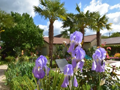 Holiday house Schönes Ferienhaus mit Innenhof - Outdoor photo 39