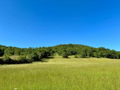 Holiday house Vintage Retreat in Montfaucon - Environment photo 30