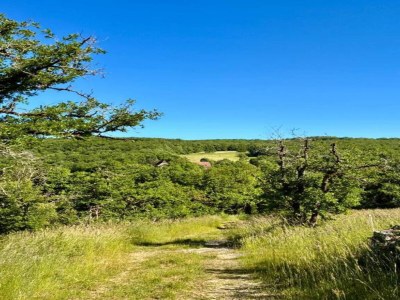 Holiday house Vintage Retreat in Montfaucon - Environment photo 31