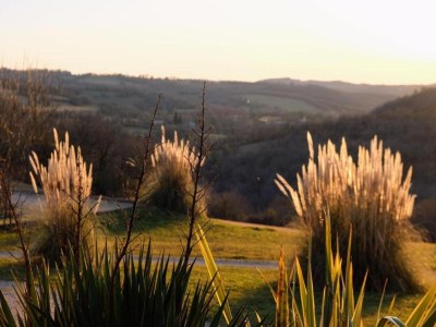 Holiday house Vintage Retreat in Montfaucon - Environment photo 33