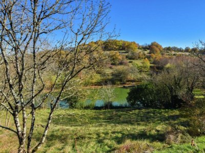 Holiday house Vintage Retreat in Montfaucon - Environment photo 34