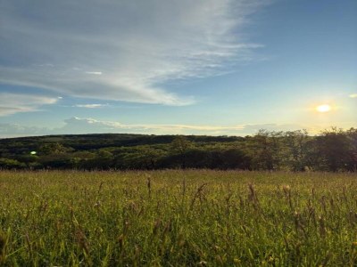 Holiday house Vintage Retreat in Montfaucon - Environment photo 35