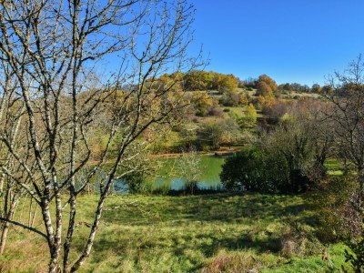 Holiday house Vintage Retreat in Montfaucon - Environment photo 36