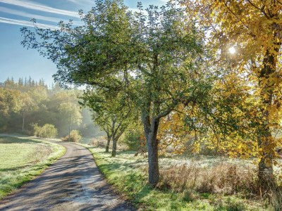 Villa Villa in Cazals mit Pool und See in der Nähe - Environment photo 35