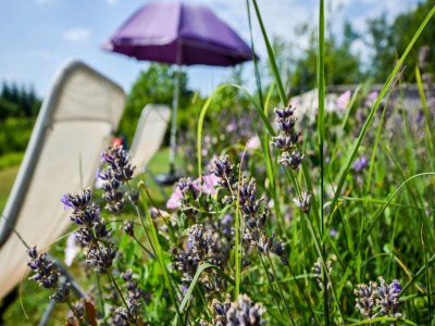 Villa Villa in Cazals mit Pool und See in der Nähe - Outdoor photo 38