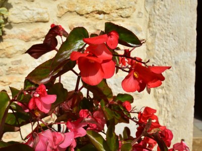 Holiday house Spacious holiday home with private pool - Outdoor photo 36