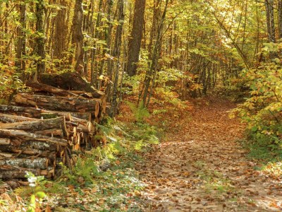 Holiday house Cosy holiday home near the Causses du Quercy - Environment photo 32