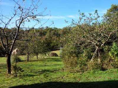 Holiday house Cahors Landsitz - Environment photo 20
