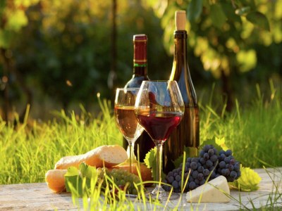 Holiday house Cahors Landsitz - Outdoor photo 39