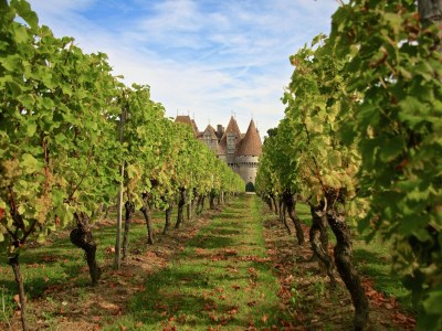 Holiday house Cahors Landsitz - Outdoor photo 40