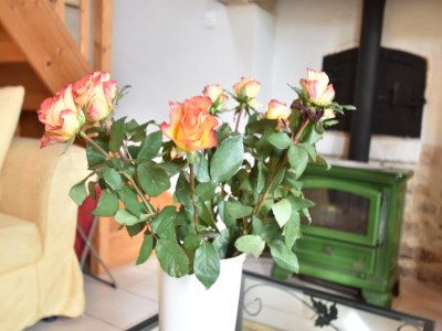 Holiday house Terrace & Tranquility Home - Outdoor photo 37