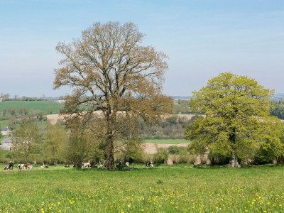 Holiday house Gouvets Family Retreat - Environment photo 35