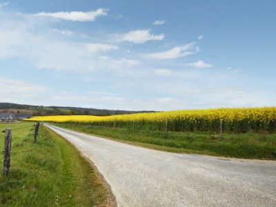 Holiday house Gouvets Family Retreat - Environment photo 37