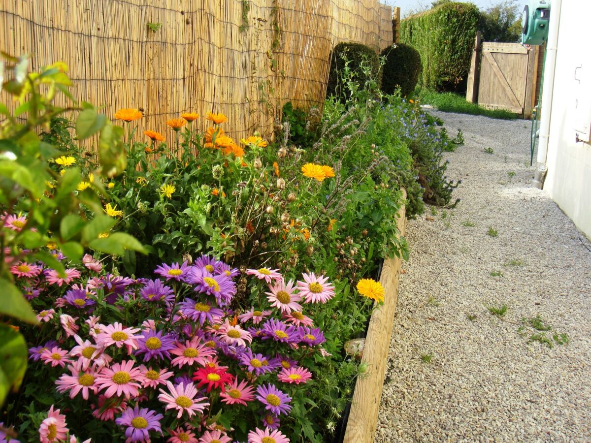 Holiday house Ravenoville Family Stay near Beach - Outdoor photo 4